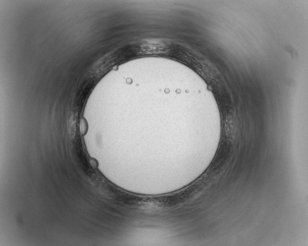 X0000116550741201001071115