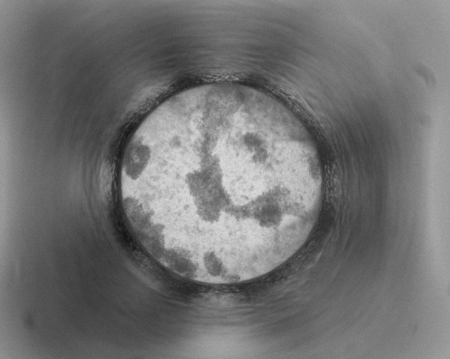 X0000116550742201001071115