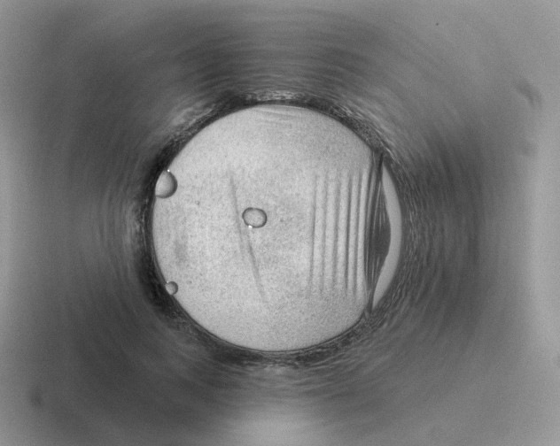 X0000116550743201001071115