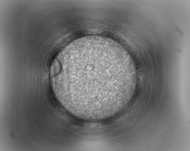 X0000116550745201001071115