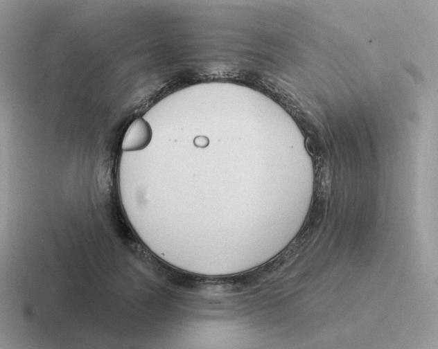 X0000116550746201001071115