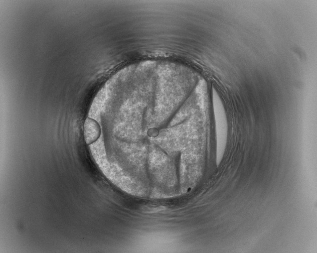 X0000116550747201001071115