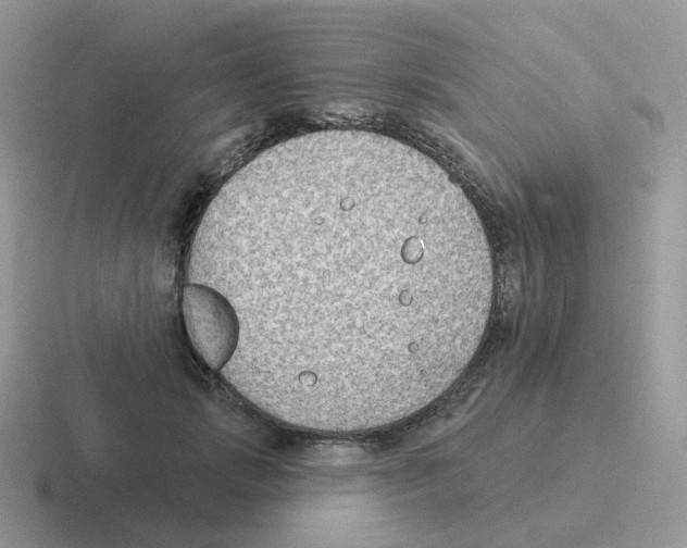 X0000116550749201001071115