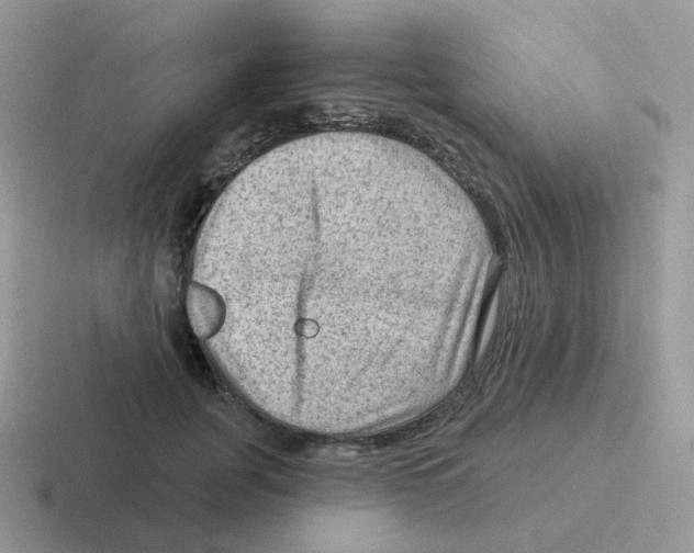 X0000116550751201001071115