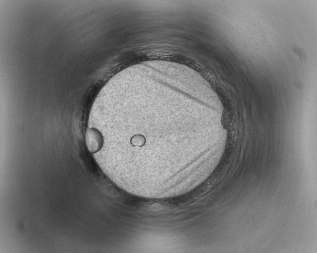 X0000116550755201001071115