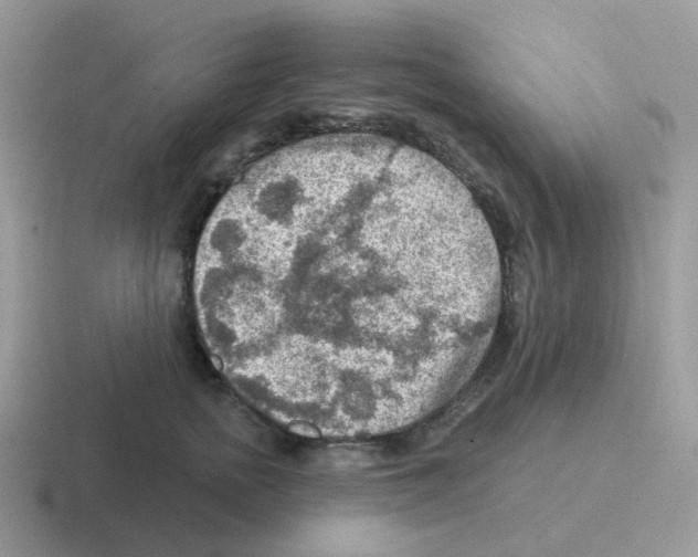 X0000116550758201001071115