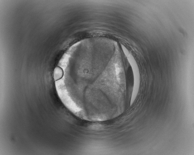 X0000116550759201001071116