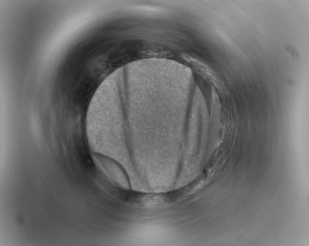 X0000116550762201001071116