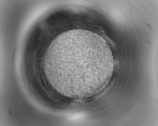 X0000116550765201001071116