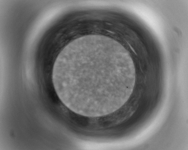 X0000116550766201001071116