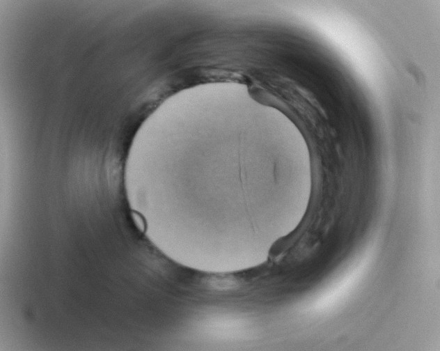 X0000116550767201001071116