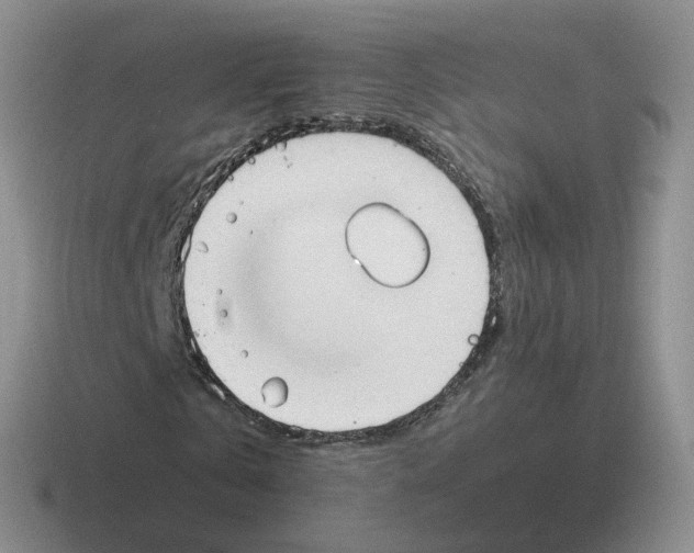 X0000116550769201001071115