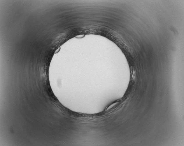 X0000116550771201001071115