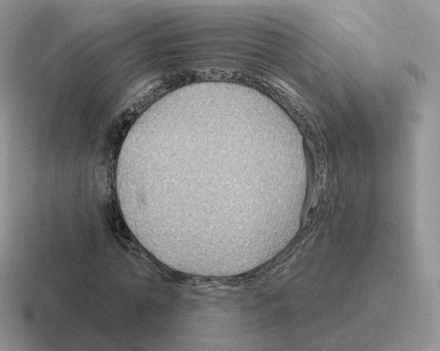 X0000116550774201001071115