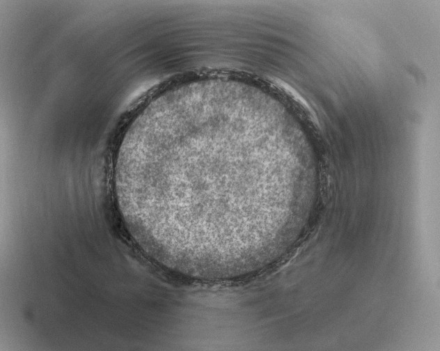 X0000116550775201001071115