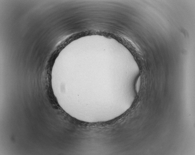 X0000116550776201001071115