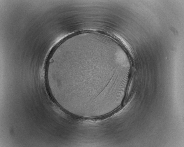 X0000116550779201001071115