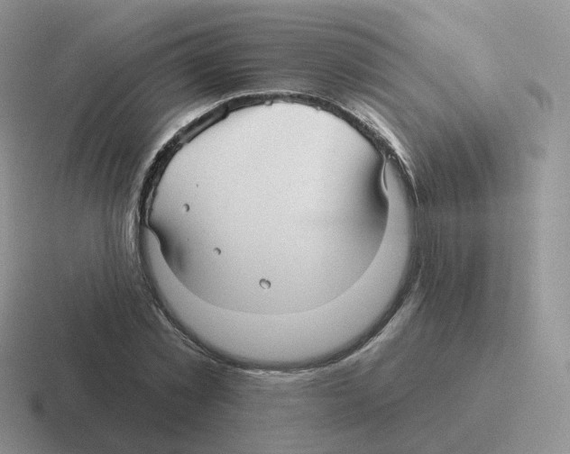 X0000116550781201001071115