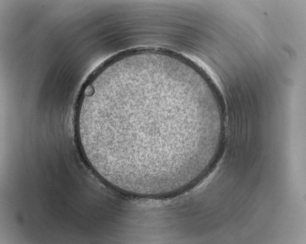 X0000116550783201001071115