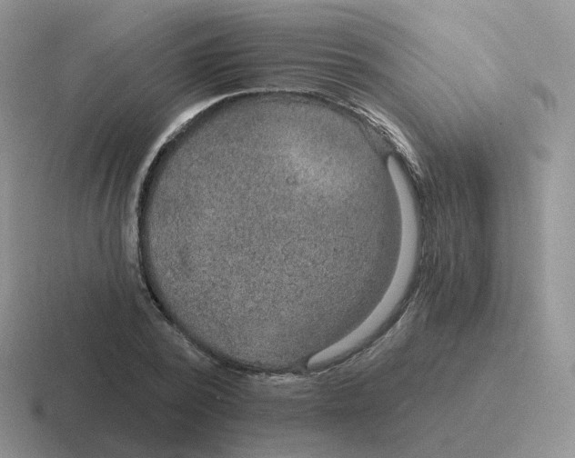 X0000116550784201001071115