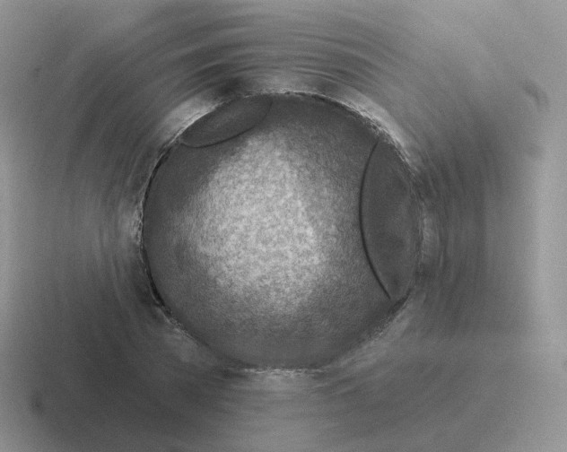 X0000116550785201001071115