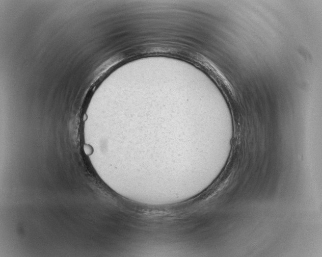 X0000116550786201001071115