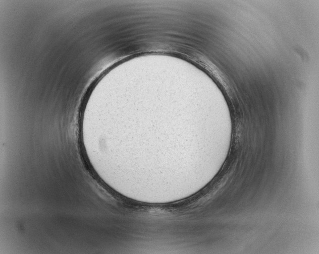 X0000116550787201001071115