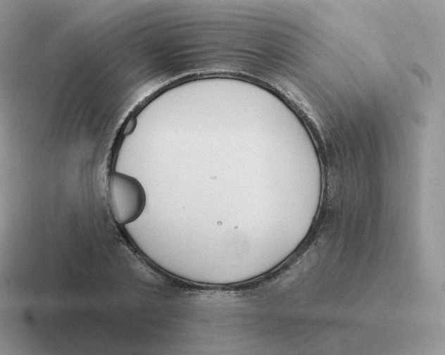 X0000116550789201001071115