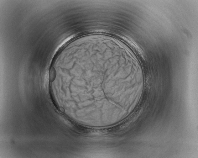 X0000116550790201001071115