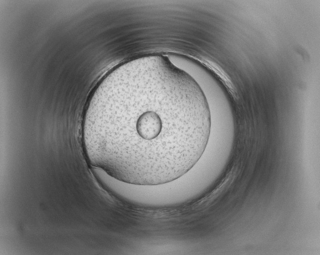 X0000116550793201001071115