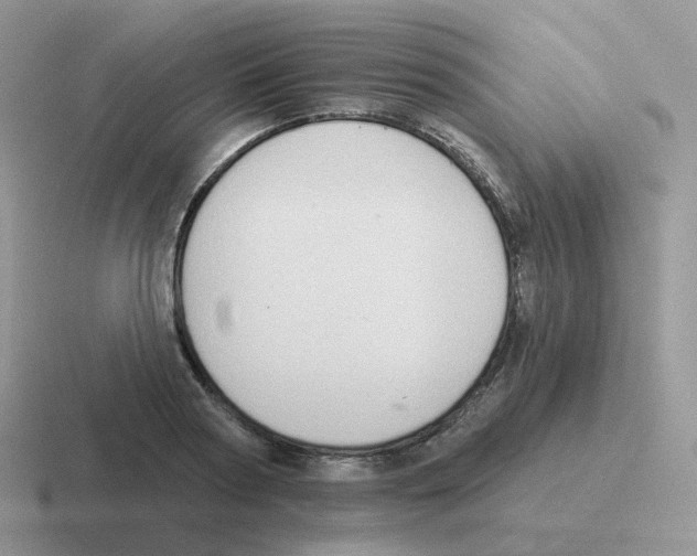 X0000116550794201001071115