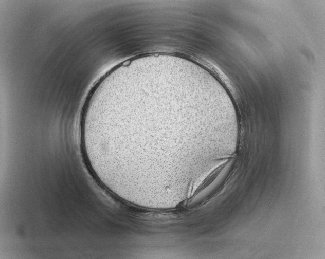 X0000116550795201001071115