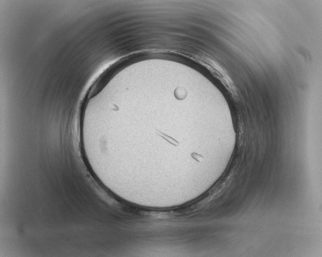 X0000116550796201001071115