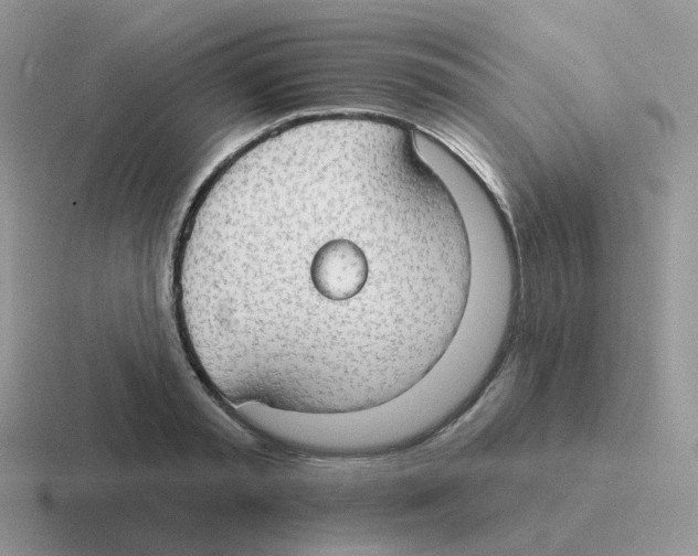 X0000116550797201001071115