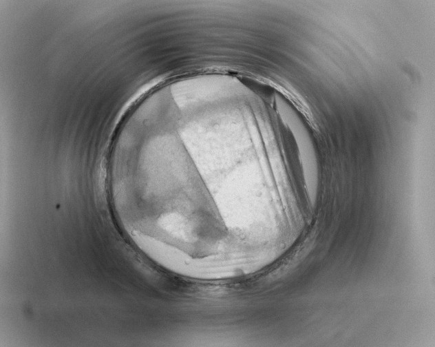 X0000116550798201001071115