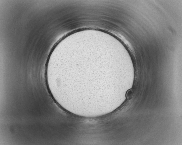 X0000116550799201001071115