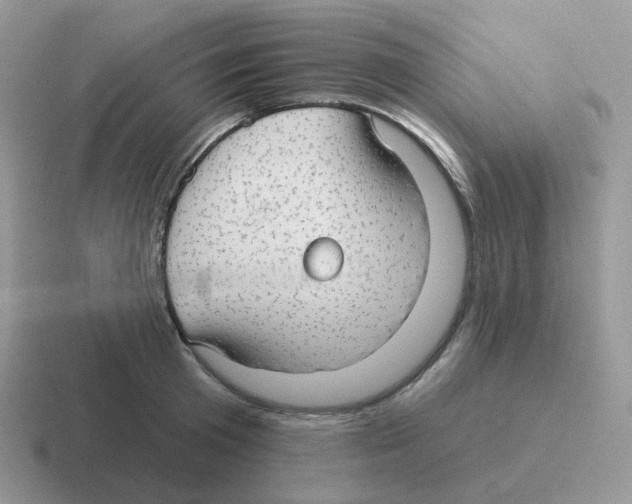 X0000116550801201001071115