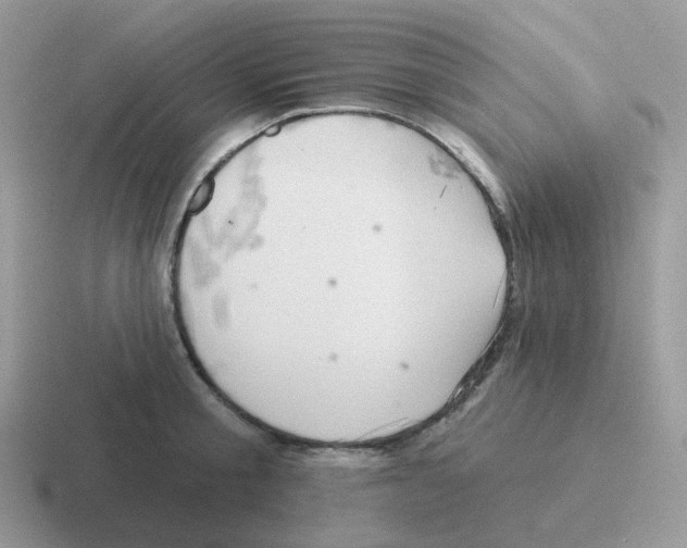 X0000116550805201001071115