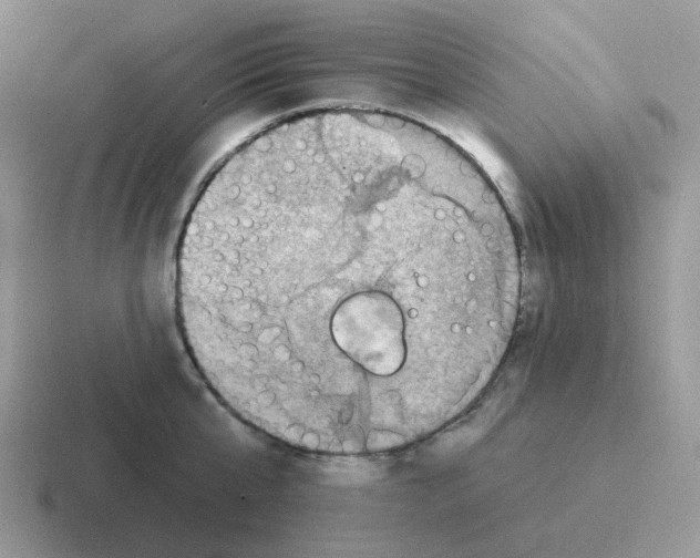 X0000116550807201001071115