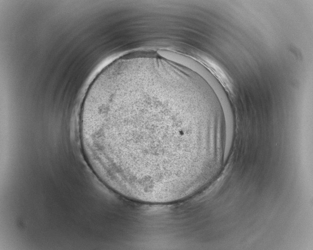 X0000116550808201001071115