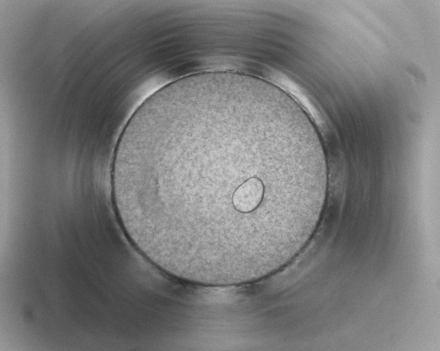 X0000116550810201001071114