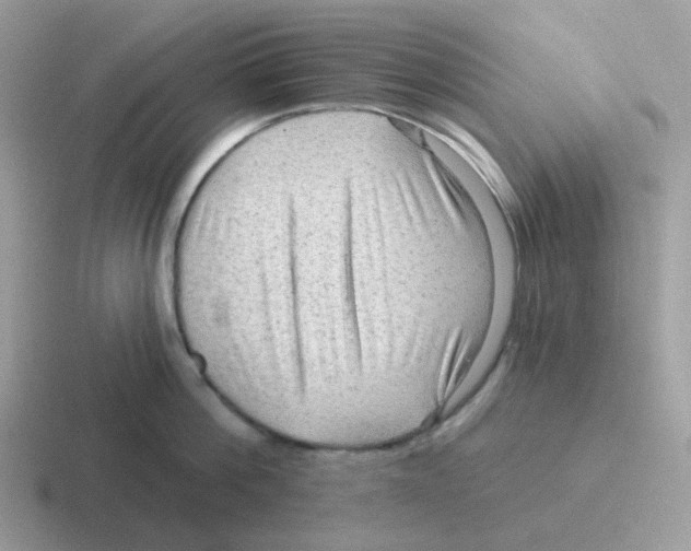 X0000116550812201001071114