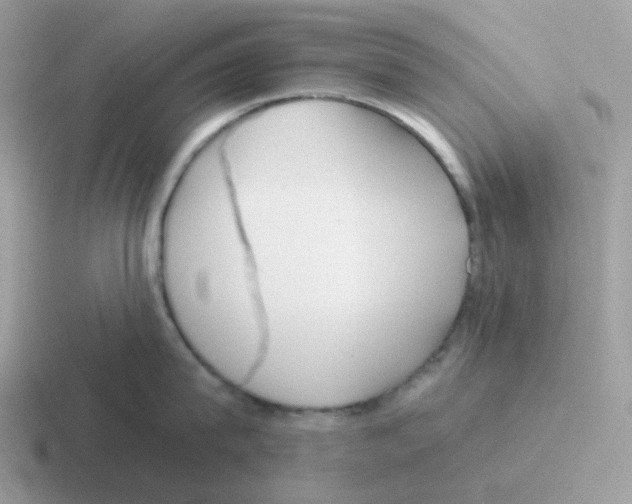 X0000116550815201001071114