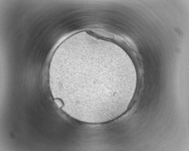 X0000116550816201001071114