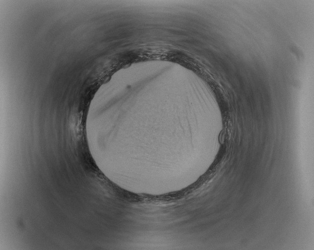 X0000116550818201001071114