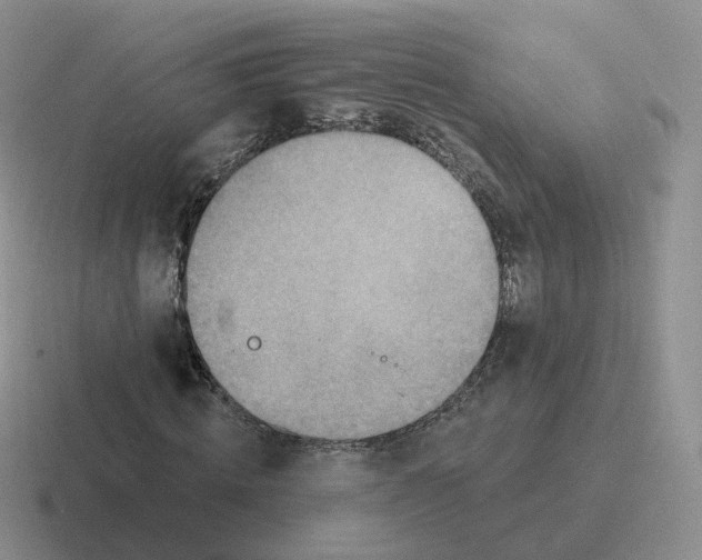 X0000116550820201001071114