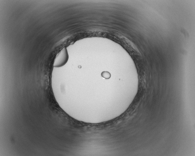 X0000116550821201001071114