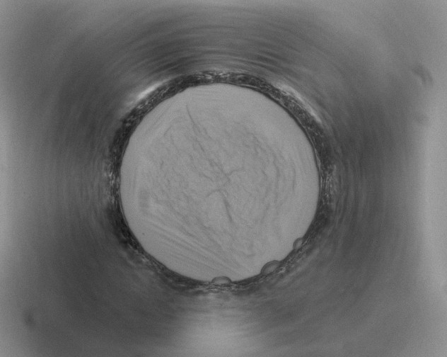 X0000116550822201001071114