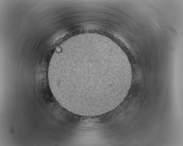 X0000116550824201001071114