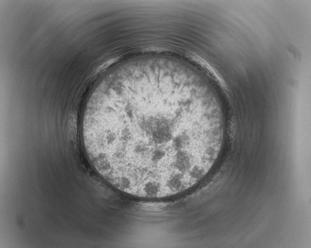 X0000116550825201001071114